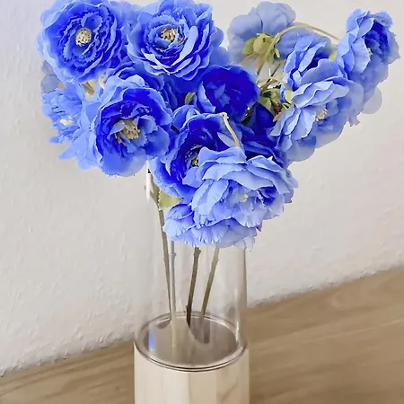 Urlaub - Im Land Der Tausend Seen Lejlighed